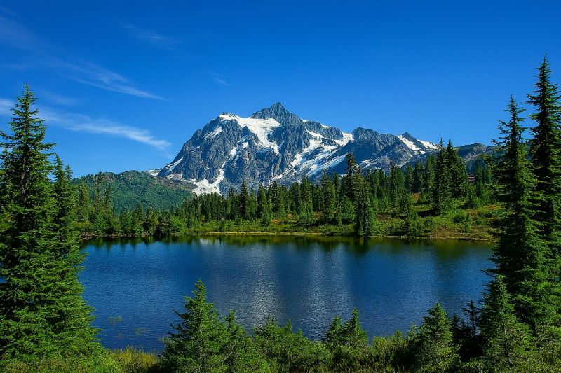 Hero for Home Services Options